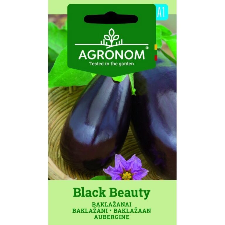 Aubergine black beuty
