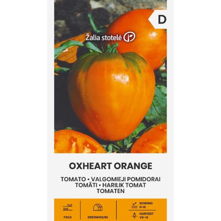 Tomat oxheart orange
