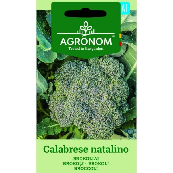 Broccoli Calabrese natalino