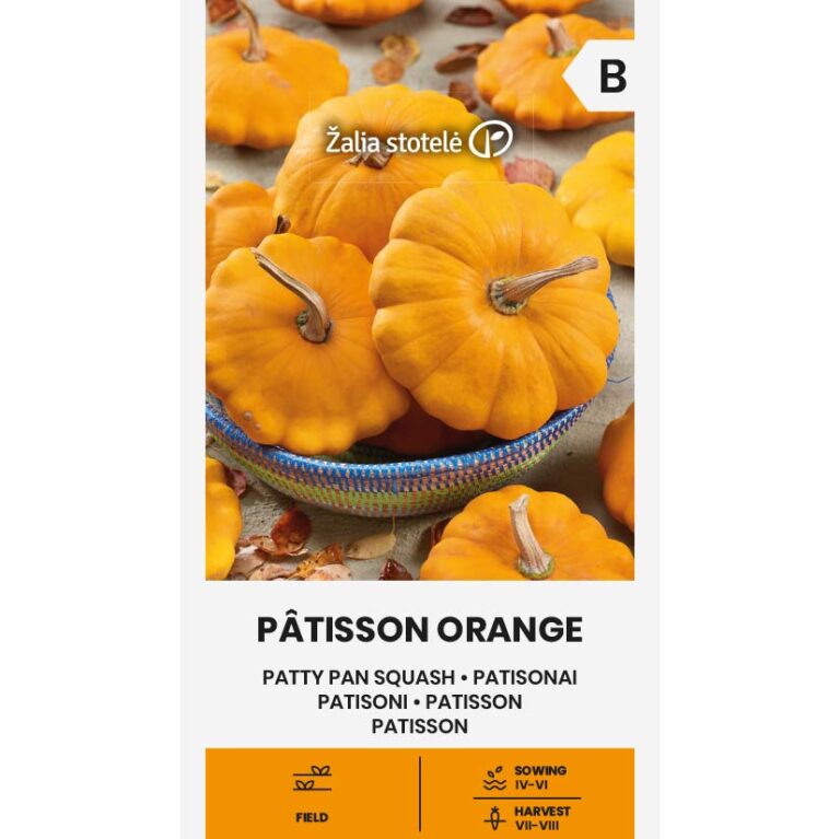 Tefatssquash Patisson orange