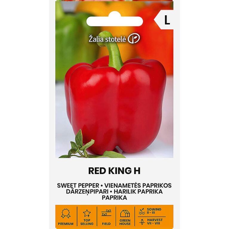 Paprika Red king H